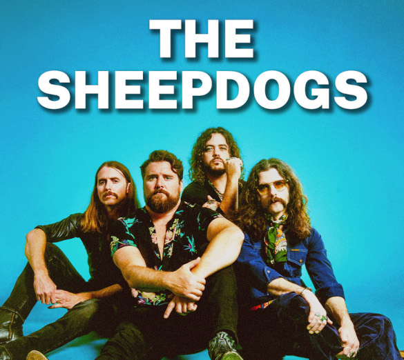 Sheepdogs